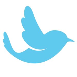 Mon freelance : Création d’une publication Twitter par jour durant 1 mois